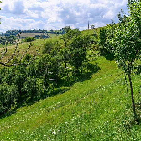 Green Hill Panoramic Poiana Mărului Extérieur photo