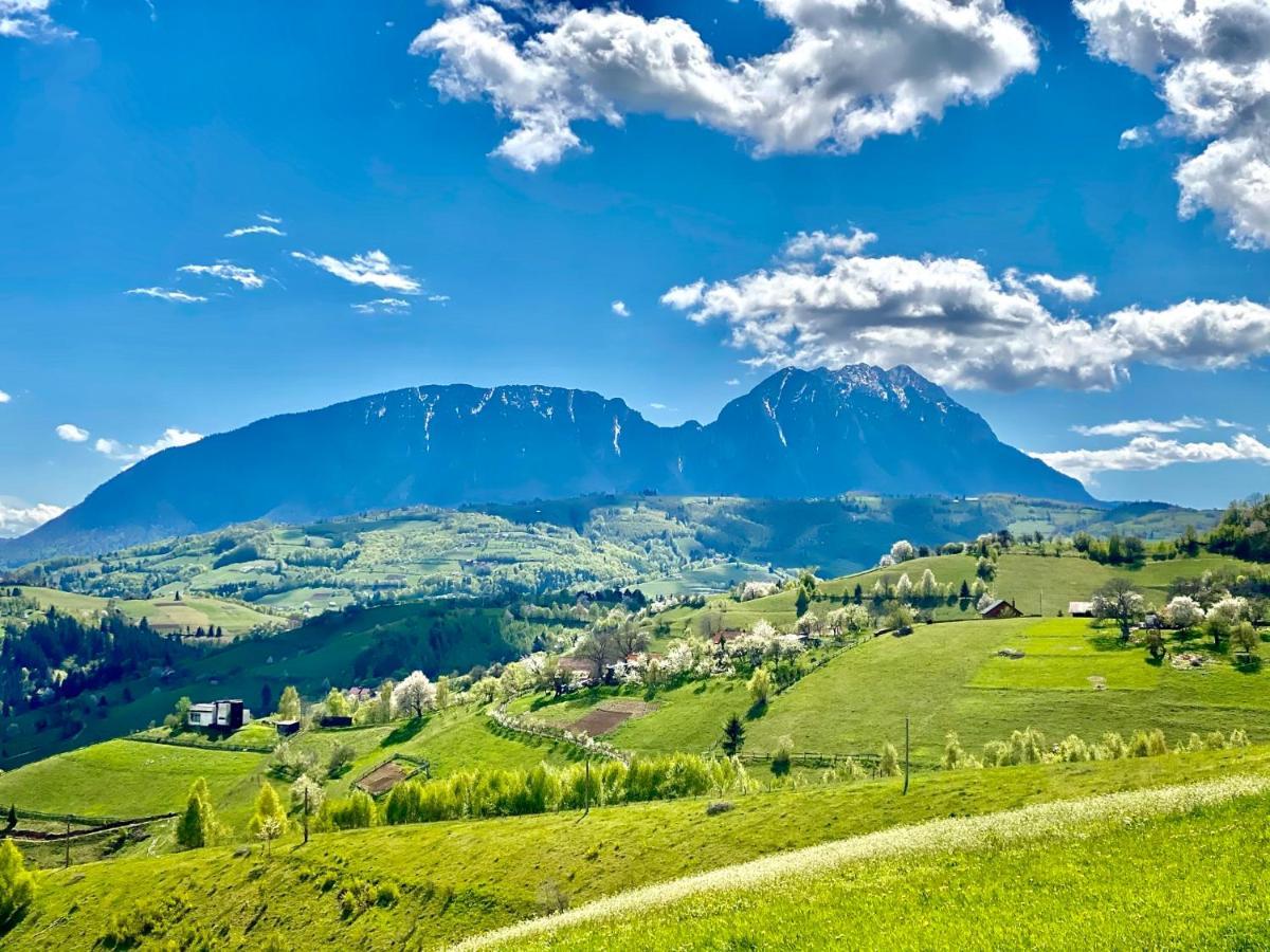Green Hill Panoramic Poiana Mărului Extérieur photo