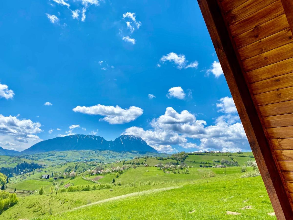 Green Hill Panoramic Poiana Mărului Extérieur photo