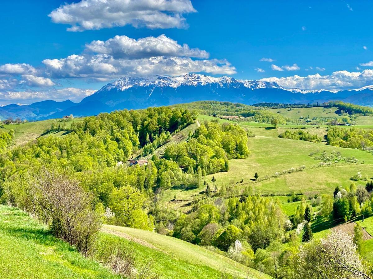 Green Hill Panoramic Poiana Mărului Extérieur photo