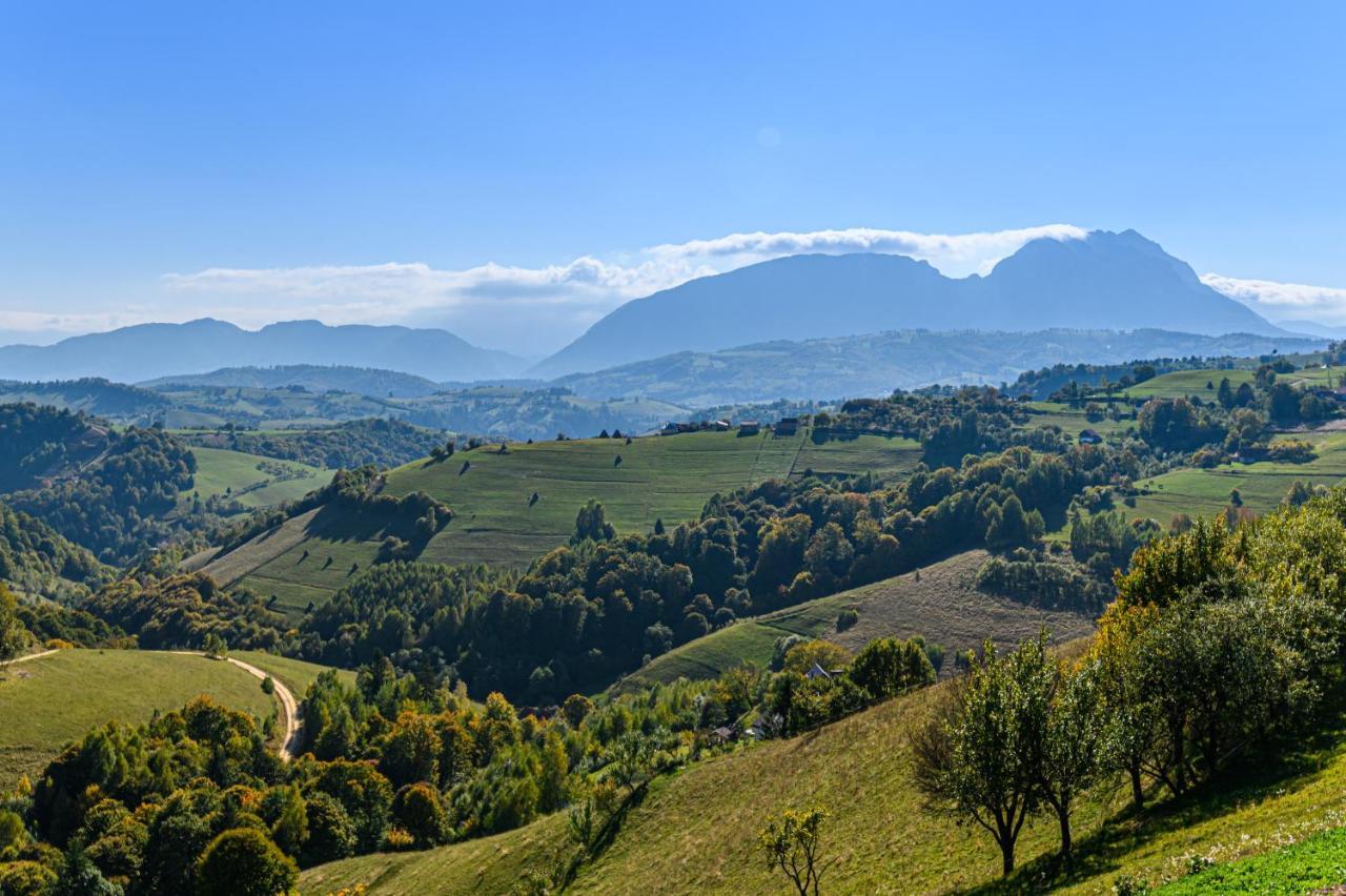 Green Hill Panoramic Poiana Mărului Extérieur photo