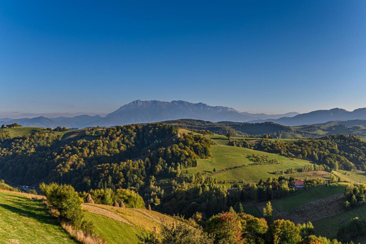 Green Hill Panoramic Poiana Mărului Extérieur photo