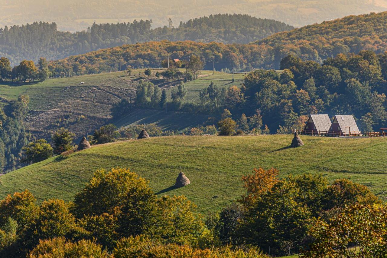 Green Hill Panoramic Poiana Mărului Extérieur photo