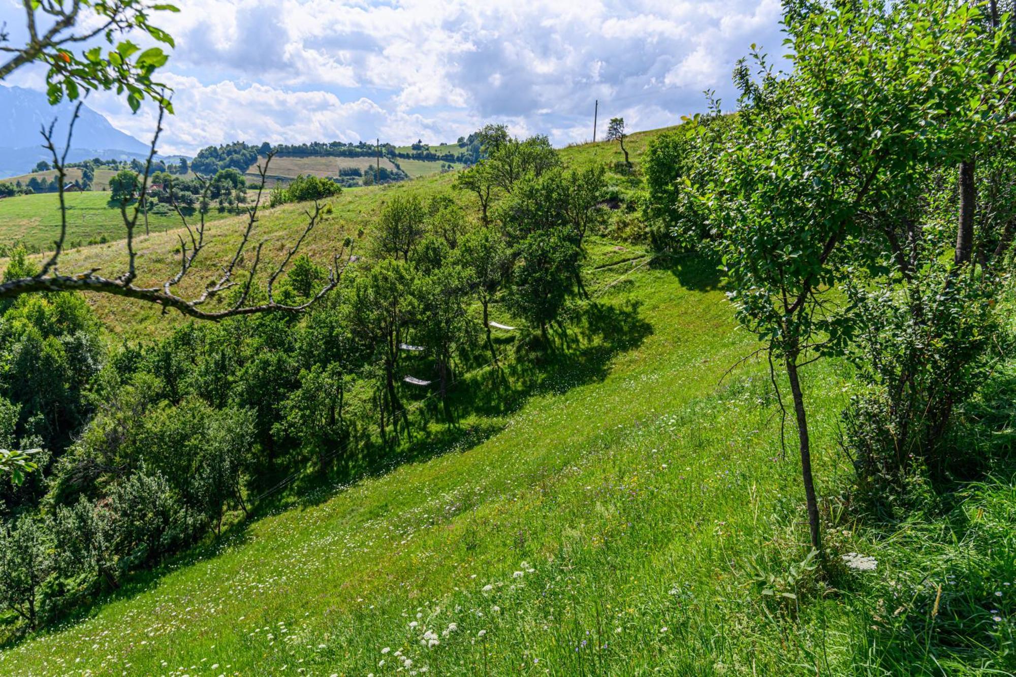 Green Hill Panoramic Poiana Mărului Extérieur photo