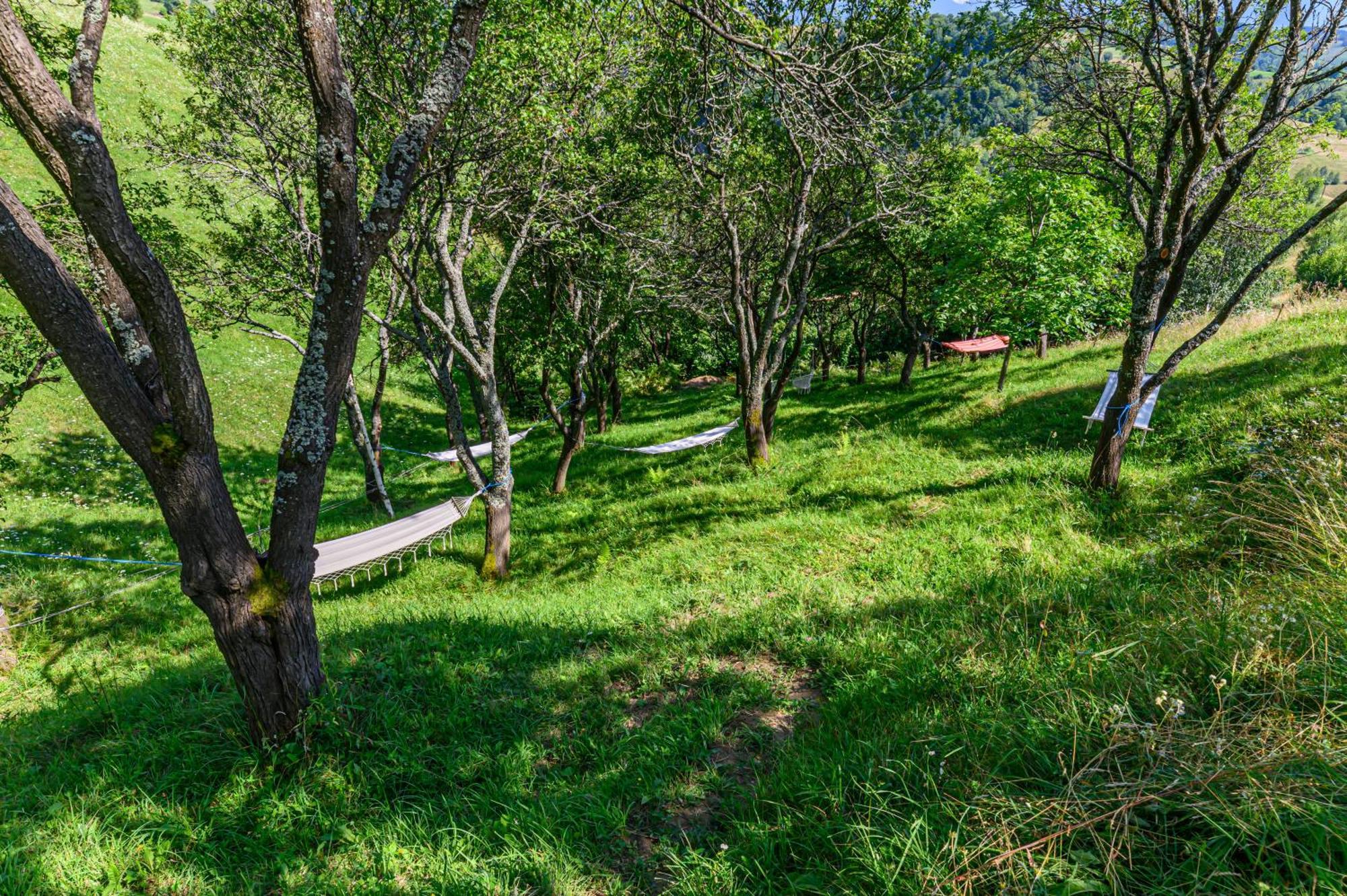 Green Hill Panoramic Poiana Mărului Extérieur photo